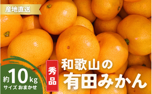 【11月発送】秀品 有田みかん 和歌山県産  S～Lサイズ 大きさお任せ 10kg / みかん フルーツ 果物 くだもの 有田みかん 蜜柑 柑橘【ktn003-11】 1470721 - 和歌山県紀美野町