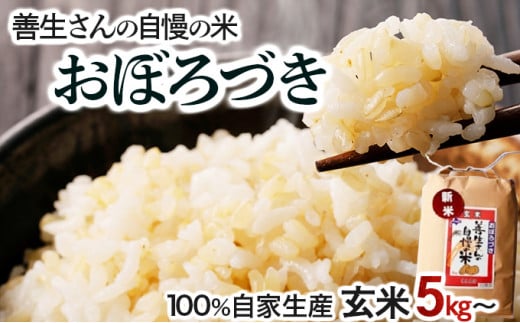 寄附額改定↓ [量が選べる][令和6年産!]『100%自家生産玄米』善生さんの自慢の米 玄米おぼろづき5〜80kg※一括発送