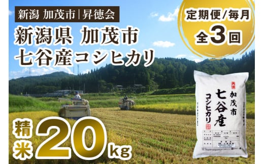 【令和6年産新米先行予約】【定期便3回毎月お届け】新潟県加茂市 七谷産コシヒカリ 精米20kg（5kg×4） 白米 高柳地域産数量限定 昇徳会 1461873 - 新潟県加茂市