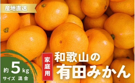 【12月発送】家庭用 有田みかん 和歌山  S～Lサイズ大きさお任せ 5kg / みかん フルーツ 果物 くだもの 有田みかん 蜜柑 柑橘【ktn007A-12】 1529512 - 和歌山県すさみ町