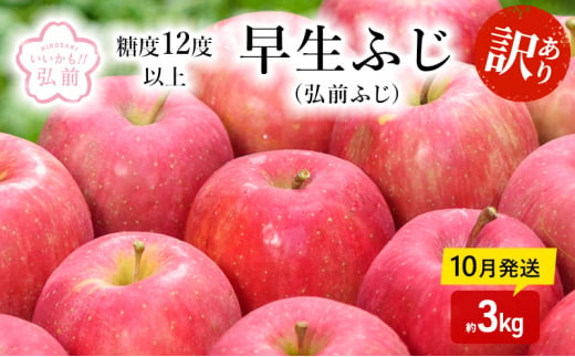 りんご 【 10月発送 】( 糖度12度以上 ) 訳あり 早生ふじ ( 弘前ふじ ) 約 3kg 【 弘前市産 青森りんご 】 1471662 - 青森県弘前市