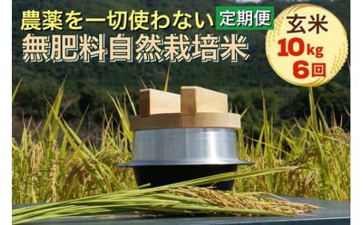 米 定期便 令和6年産 自然栽培米 にこまる ＜農薬を一切使わない無肥料栽培＞ 玄米 10kg×6ヶ月 60kg ｜ 新米 京都丹波産 無農薬米栽培向き 厳選品種 6回お届け ※2024年10月中旬頃より順次発送予定