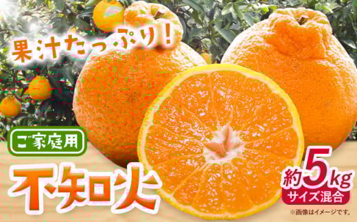 みかん 不知火 ご家庭用 5kg サイズ混合 GOGO農園[1月下旬-3月末頃出荷] 和歌山県 日高川町 しらぬい みかん 柑橘 蜜柑 フルーツ 送料無料 st-p