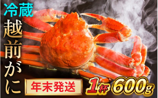 [年末発送][先行予約]越前がに 600g×1ハイ[2024年12月25〜29日順次発送]|蟹 かに カニ 越前ガニ 越前がに ズワイガニ ずわいがに ボイル 600g 1杯 1ハイ 福井 冷蔵 送料無料