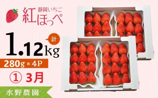 6274 ①3月発送 いちご 掛川産 完熟いちご 紅ほっぺ 280g×4P 1.12kg (8〜15粒入×4P) R7年3月から順次発送 ①3月 ②4月 ③5月 の中から発送時期をお選び下さい 水野農園