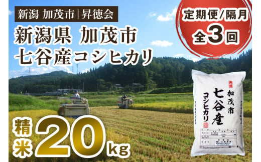 【令和6年産新米先行予約】【定期便3回隔月お届け】新潟県加茂市 七谷産コシヒカリ 精米20kg（5kg×4） 白米 高柳地域産数量限定 昇徳会 1465525 - 新潟県加茂市