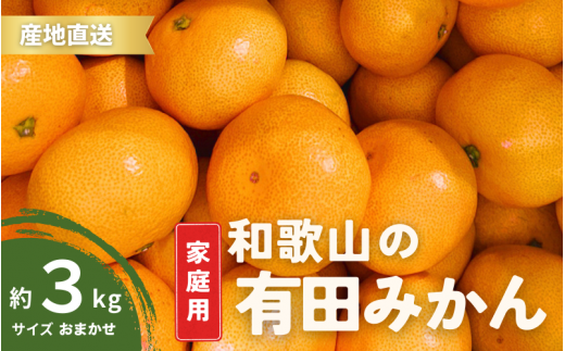 【11月発送】ご家庭用 有田みかん 和歌山 S～Lサイズ 大きさお任せ 3kg / みかん フルーツ 果物 くだもの 有田みかん 蜜柑 柑橘【ktn006A-11】 1470730 - 和歌山県紀美野町