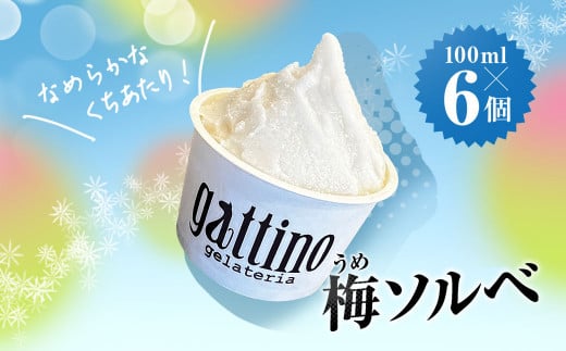 gelateria gattino 安中市秋間梅林の梅ソルベ(シャーベット)６個 /ANBB003 1471349 - 群馬県安中市