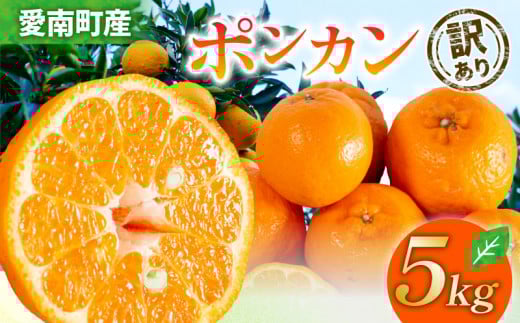 [ 2026年 先行予約 ] 訳あり ポンカン 5kg サイズミックス 送料無料 10000円 柑橘 みかん 蜜柑 家庭用 フルーツ 果物 規格外 不揃い キズ わけあり 甘い 濃厚 ジューシー お取り寄せ グルメ 冬の味覚 ジュース スムージー ジャム お菓子 作り マーマレード スイーツ 作り 旬の果物 農家直送 ビタミンC 予約受付 サイズ不揃い 愛媛県 愛南町 清家ばんかんビレッジ