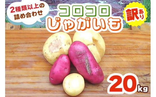 [訳あり] コロコロじゃがいも 20kg (2種類以上の詰め合わせ)【数量限定／期間限定】｜じゃがいも ジャガイモ ポテト 馬鈴薯 とうや ノーザンルビー レッドムーン メークイン 産地直送 農家直送 訳あり品 [0222]