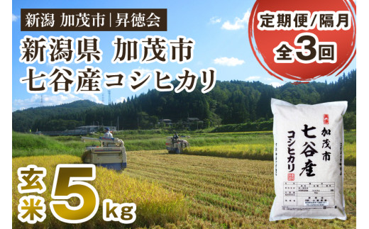 [令和6年産新米先行予約][定期便3回隔月お届け]新潟県加茂市 七谷産コシヒカリ 玄米5kg 高柳地域産数量限定 昇徳会