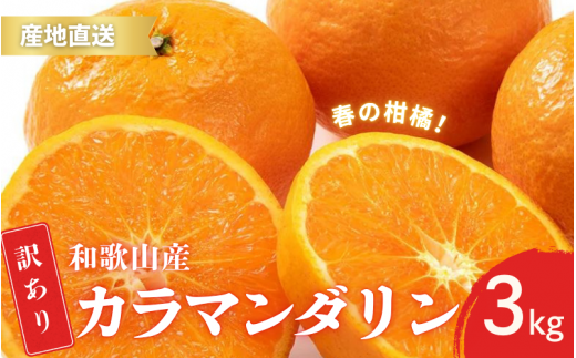 【先行予約】訳あり 有田 カラマンダリン なつみ 春のみかん 2S～3Lサイズ混合 3kg【2025年4月上旬～5月上旬までに順次発送予定】/ みかん フルーツ 果物 くだもの 蜜柑 柑橘【ktn038】 1470699 - 和歌山県紀美野町