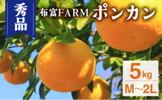 NT2-7-01【kg数が選べる】 ＜秀品ポンカンM〜2L　5kg＞ 1485050 - 高知県東洋町