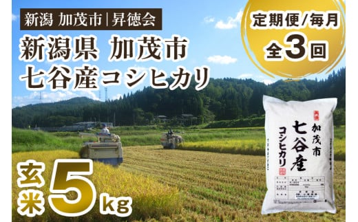 [令和6年産新米先行予約][定期便3回毎月お届け]新潟県加茂市 七谷産コシヒカリ 玄米5kg 高柳地域産数量限定 昇徳会