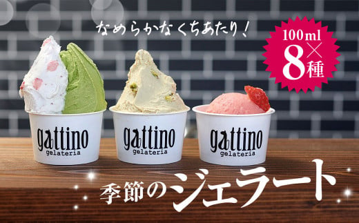 gelateria gattino 季節のジェラートおすすめ８種セット /ANBB001