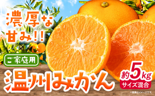 みかん 温州みかん ご家庭用 5kg サイズ混合 GOGO農園[11月上旬-1月中旬頃出荷] 和歌山県 日高川町 うんしゅうみかん みかん 柑橘 蜜柑 フルーツ 送料無料 st-p