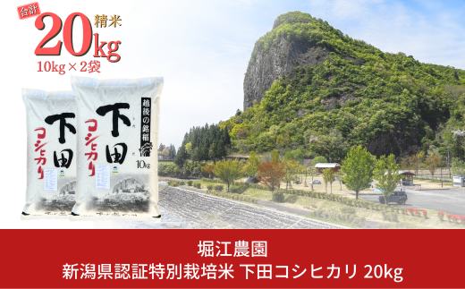 新潟県認証特別栽培米 下田コシヒカリ 20kg 令和6年産 三条市産 こしひかり [堀江農園]【042S010】 1436364 - 新潟県三条市