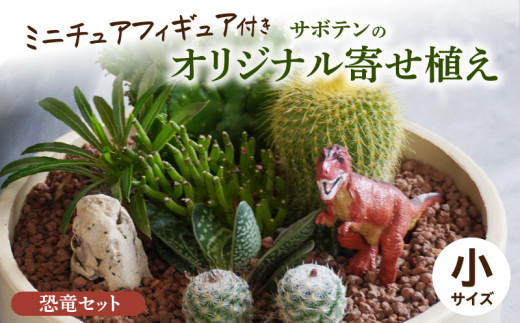 サボテンのオリジナル寄せ植え（小）【恐竜セット】