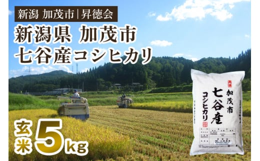 [令和6年産新米先行予約]新潟県加茂市 七谷産コシヒカリ 玄米5kg 高柳地域産数量限定 昇徳会