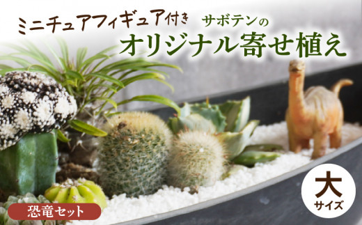 サボテンのオリジナル寄せ植え（大）【恐竜セット】