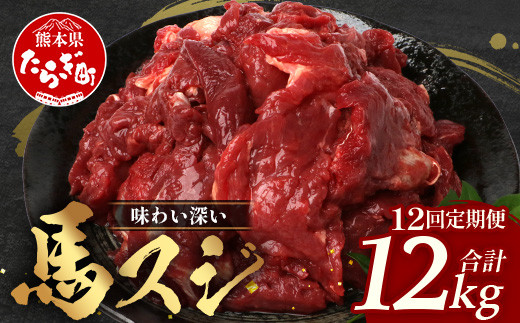 【 定期便 12回 】 熊本県 馬スジ 1㎏（ 500g×2 ） × 12回 【 合計 12kg 】 【 馬肉 すじ肉 大容量 本場 熊本県 馬 赤身 煮込み カレー シチュー 冷凍 真空 熊本 肥育 ヘルシー 赤身 肉 高栄養 肉 】 041-0169 1478583 - 熊本県多良木町