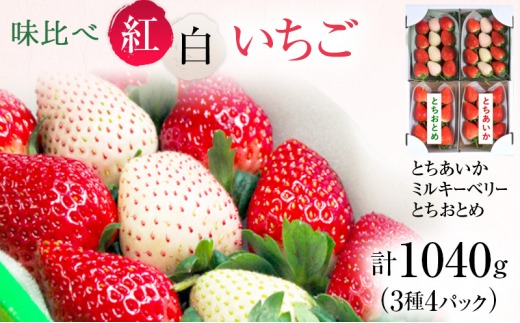 味くらべ紅白いちご 3種 4パック （1月中旬～下旬発送）  いちご 果物 フルーツ 苺 イチゴ くだもの とちあいか ミルキーベリー とちおとめ 朝取り 新鮮 美味しい 甘い [№5840-2316] 1470532 - 栃木県鹿沼市