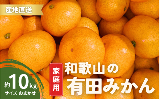 【1月発送】家庭用  有田みかん 和歌山  S～Lサイズ 大きさお任せ 10kg / みかん フルーツ 果物 くだもの 有田みかん 蜜柑 柑橘【ktn008A-1】 1527185 - 和歌山県すさみ町