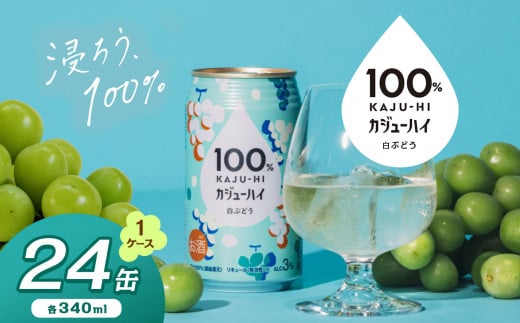 100％カンジューハイ白ブドウ 340ml × 24本 | ふるさと納税 缶ジューハイ 缶酎ハイ 白ブドウ3％ カロリー低い 喉越し 爽快 爽やか 洋酒 人気 酎ハイ サワー パーティー 送料無料 下野 栃木