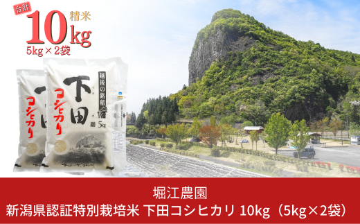 新潟県認証特別栽培米 下田コシヒカリ 10kg 令和6年産 三条市産 こしひかり [堀江農園]【020S050】 1131579 - 新潟県三条市