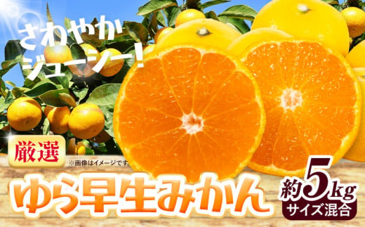 ＜2025年先行予約＞ みかん ゆら早生みかん 厳選 5kg サイズ混合 GOGO農園《2025年10月上旬-11月末頃出荷》 和歌山県 日高川町 ゆら早生みかん みかん 早生 柑橘 蜜柑 フルーツ 送料無料