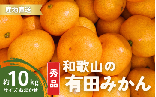 【10月発送】秀品 有田みかん 和歌山県産  S～Lサイズ 大きさお任せ 10kg / みかん フルーツ 果物 くだもの 有田みかん 蜜柑 柑橘【ktn003-10】 1470720 - 和歌山県紀美野町