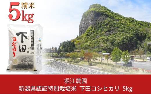 新潟県認証特別栽培米 下田コシヒカリ 5kg 令和6年産 三条市産 こしひかり [堀江農園] 【011S161】 1131578 - 新潟県三条市