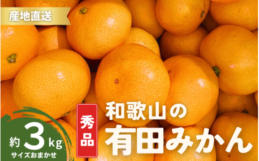 【10月発送】秀品 有田みかん 和歌山県産  S～Lサイズ 大きさお任せ 3kg / みかん フルーツ 果物 くだもの 有田みかん 蜜柑 柑橘【ktn001-10】 1476503 - 和歌山県古座川町