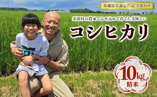 【令和6年産】コシヒカリ 精米 10kg【茨城県共通返礼品　美浦村産】　※2024年9月中旬頃より順次発送予定 1470475 - 茨城県土浦市