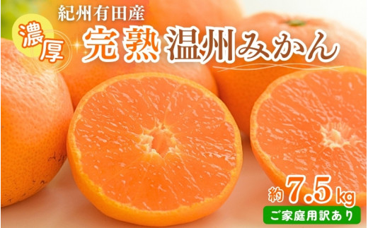 【ご家庭用訳アリ】 先行予約 紀州有田産濃厚完熟温州みかん　7.5kg　※2024年11月下旬頃〜2025年1月下旬頃に順次発送予定(お届け日指定不可) みかん 柑橘類【uot704A】 763648 - 和歌山県古座川町