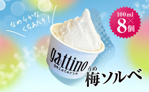 gelateria gattino 安中市秋間梅林の梅ソルベ(シャーベット)８個 /ANBB004 1471350 - 群馬県安中市