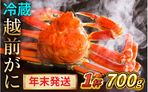 【年末発送】【先行予約】越前がに 700ｇ×1ハイ【2024年12月25～29日順次発送】｜蟹 かに カニ 越前ガニ 越前がに ズワイガニ ずわいがに ボイル 700g 1杯 1ハイ 福井 冷蔵 送料無料 1471037 - 福井県小浜市