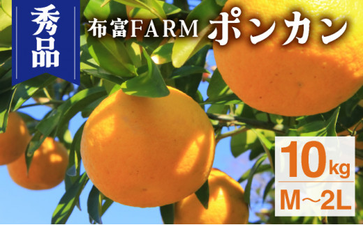 NT2-7-02【kg数が選べる】 ＜秀品ポンカンM〜2L　10kg＞ 1485051 - 高知県東洋町