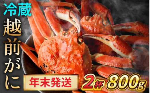 【年末発送】【先行予約】越前がに 800ｇ×2ハイ【2024年12月25～29日順次発送】｜蟹 かに カニ 越前ガニ 越前がに ズワイガニ ずわいがに ボイル 800g 2杯 2ハイ 福井 冷蔵 送料無料