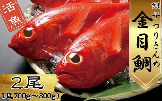 生 キンメダイ  2尾 （1尾700g～800g） 金目鯛 新鮮 銚子港水揚げ つりきんめ キンメ 釣り きんめ キンメダイ 煮つけ 鯛 タイ 刺身 鍋 魚 海鮮 魚介類 魚貝 冷蔵 真空パック ギフト プレゼント グルメ お取り寄せ グルメ 送料無料 海鮮料理 お祝い 千葉県 銚子市 網中昭商店 