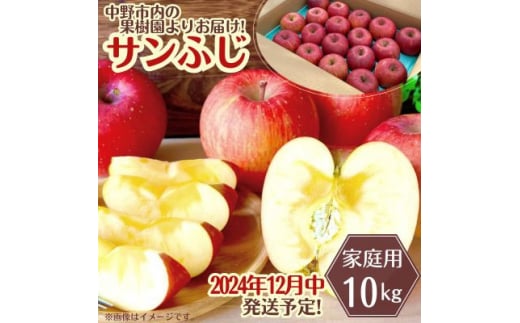 長野県中野市のふるさと納税 ◆2024年12月中発送◆りんご サンふじ家庭用 10kg_ 林檎 リンゴ 訳あり 訳アリ わけあり 長野県 信州 くだもの 果物 フルーツ 人気 サンフジ 特産品 産地直送 キズ 中野市 常温 家庭用 規格外 新鮮 蜜入り 果樹園 【1494948】