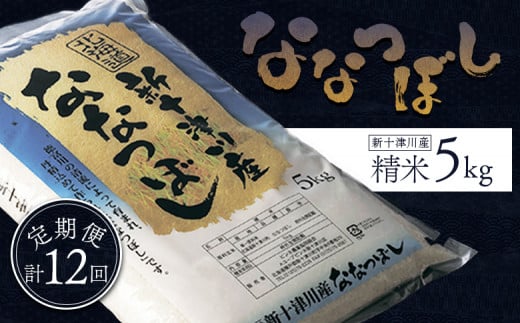 食味ランキング「特A」ななつぼし精米定期便 (5kg×12回)