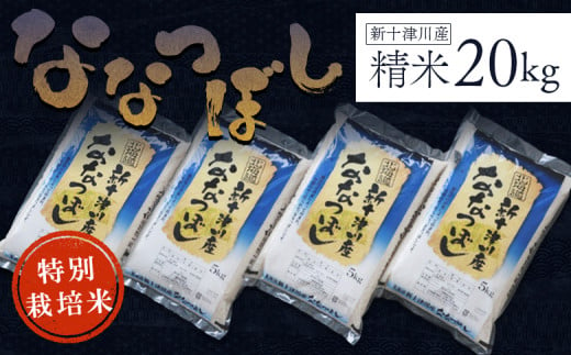 《先行受付》新米【令和6年度産】ななつぼし特別栽培米(20kg)