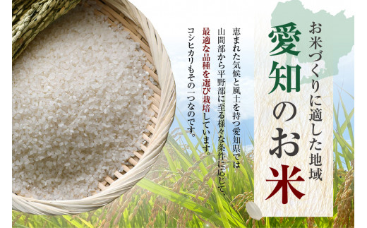 知多米 こしひかり5kg ／ お米 白米 うるち米 コシヒカリ 愛知県 特産品 - 愛知県知多市｜ふるさとチョイス - ふるさと納税サイト