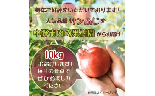 長野県中野市のふるさと納税 ◆2024年12月中発送◆りんご サンふじ家庭用 10kg_ 林檎 リンゴ 訳あり 訳アリ わけあり 長野県 信州 くだもの 果物 フルーツ 人気 サンフジ 特産品 産地直送 キズ 中野市 常温 家庭用 規格外 新鮮 蜜入り 果樹園 【1494948】