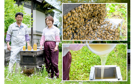 秋田県産はちみつ アカシア250g 化粧箱入り 田沢湖養蜂場 / 秋田県仙北市 | セゾンのふるさと納税