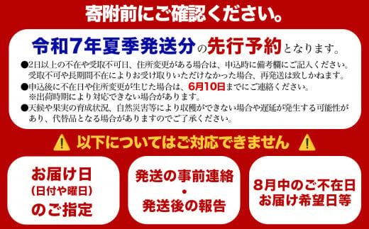 沖縄県うるま市のふるさと納税 要マンゴー農園の完熟アップルマンゴー　１kg　２玉～３玉【2025年発送】　アップルマンゴー　希少　アーウィン　甘い　完熟　爽やか　マンゴー　沖縄　うるま市　太陽　南国