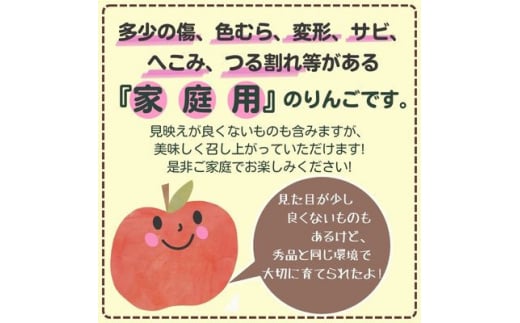 長野県中野市のふるさと納税 ◆2024年12月中発送◆りんご サンふじ家庭用 10kg_ 林檎 リンゴ 訳あり 訳アリ わけあり 長野県 信州 くだもの 果物 フルーツ 人気 サンフジ 特産品 産地直送 キズ 中野市 常温 家庭用 規格外 新鮮 蜜入り 果樹園 【1494948】