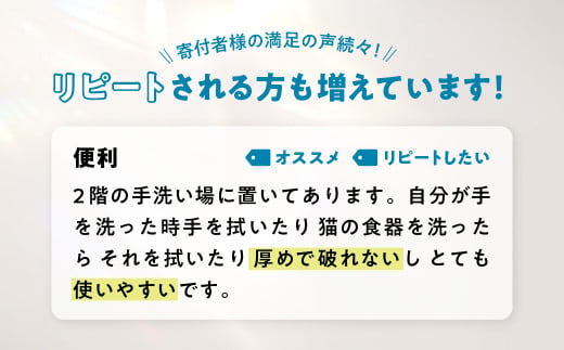 岩手県金ケ崎町のふるさと納税 ハンドタオル 25個 (5箱×5セット 1箱/240枚120組） ナクレ ハンドペーパー キッチンペーパー ペーパータオル キッチンタオル タオル ペーパー 紙 厚手 ティッシュ 人気 東北 岩手 金ケ崎 送料無料 まとめ買い 国産 日用品 東北限定