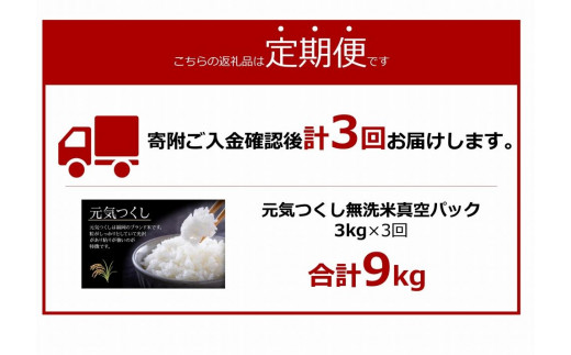 福岡県筑前町のふるさと納税 ＜令和6年産新米＞【3ヶ月定期便】元気つくし無洗米真空パック300ｇ(2合)×10袋(計3kg×3回)【無洗米 精米 ご飯 ごはん 米 お米 元気つくし ブランド 小分け 包装  備蓄米 定期便 便利 筑前町産 旬 おにぎり お弁当 食品 筑前町ふるさと納税 ふるさと納税 筑前町 福岡県 送料無料 AB026】